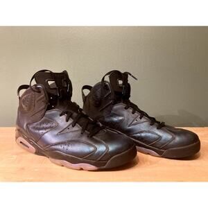 Nike Air Jordan 6 Retro All-Star Chameleon, size 18